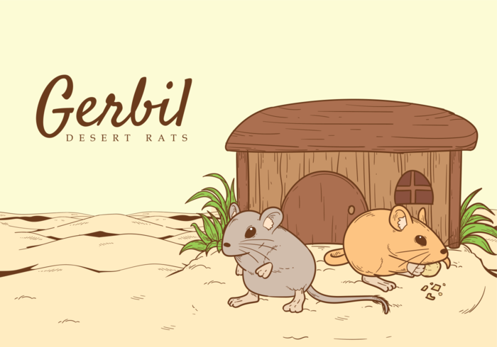 Gerbil Vector Illustration