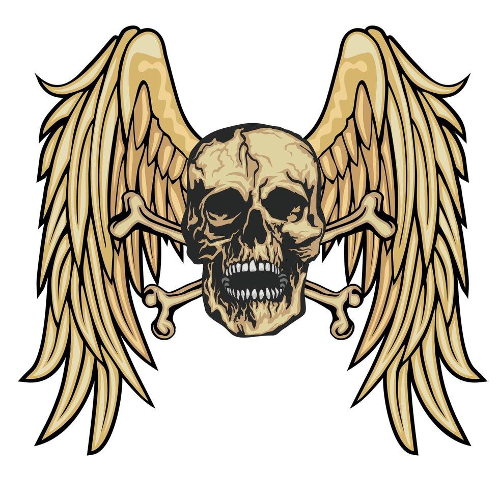 Grunge skull and wings vector
