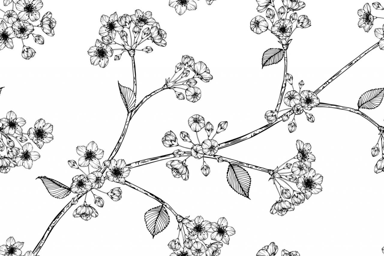Hand drawn seamless pattern Cherry blossom flower and leaves vector