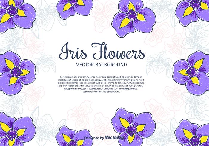 Iris Flowers Vector Background