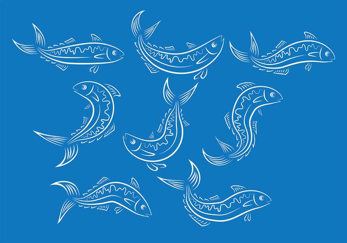 Mackerel Fish Vector Ions