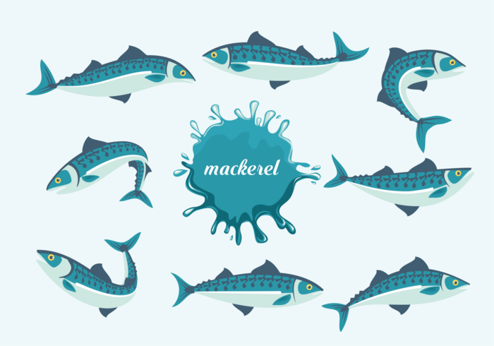 Mackerel Fishes Vector Illustration