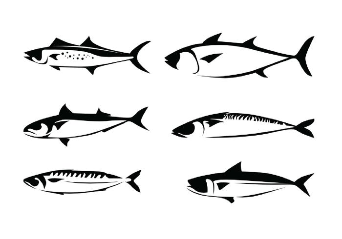 Mackerel Vectors