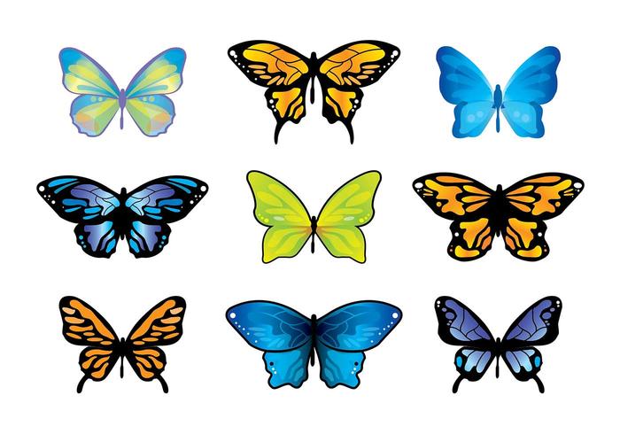 Mariposa Butterfly Vector Set