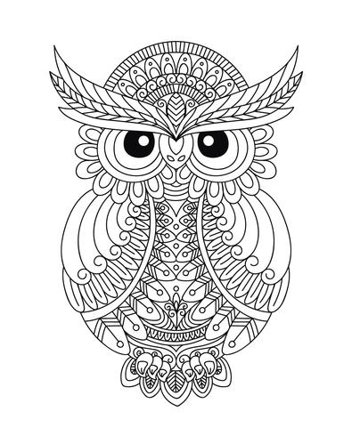 Owl Coloring Book For Adult vector