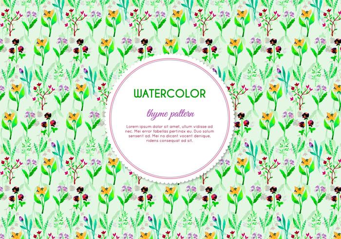 Painted Thyme and Flower Vector Pattern
