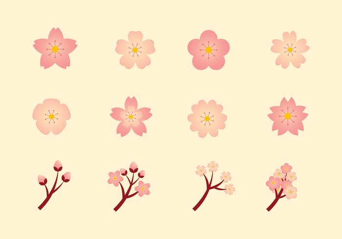 Peach Blossom Vector