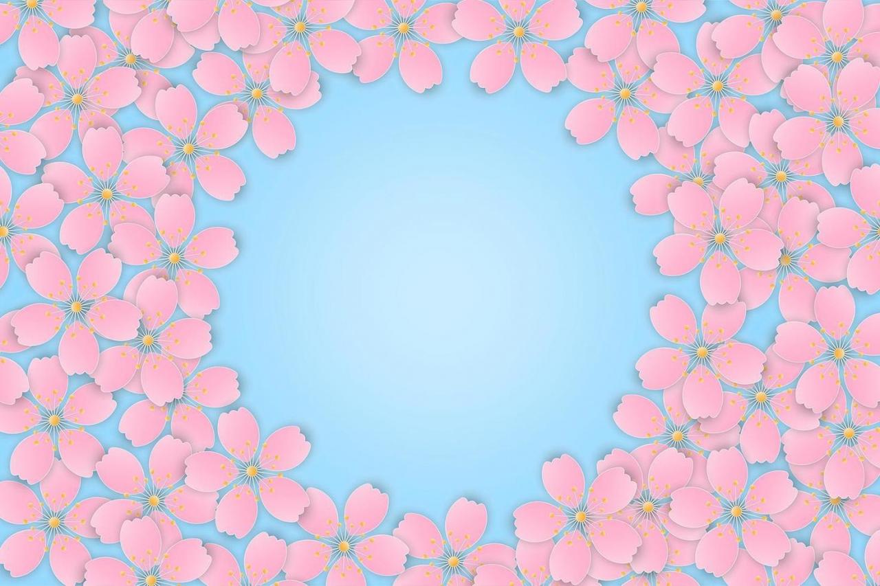 Pink Cherry Blossom Sakura Flower Frame vector