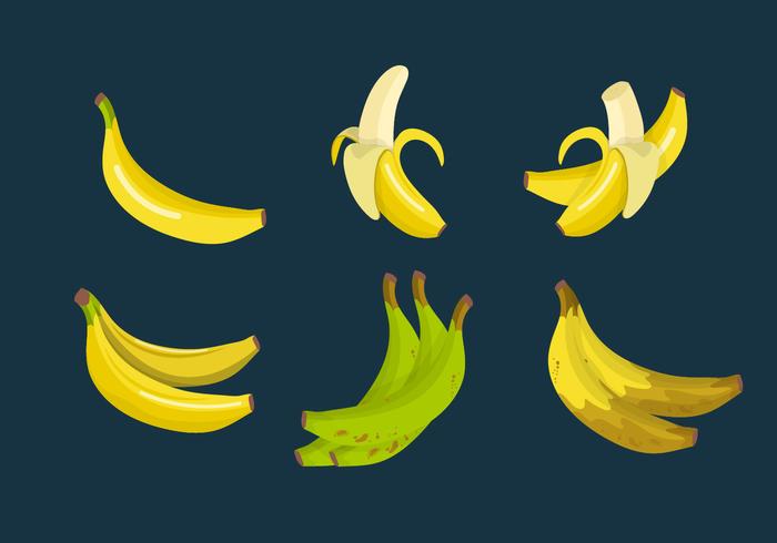 Plantain Banana Vector Collection