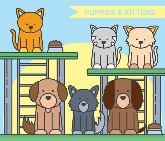 Puppies and kitten vector illustration