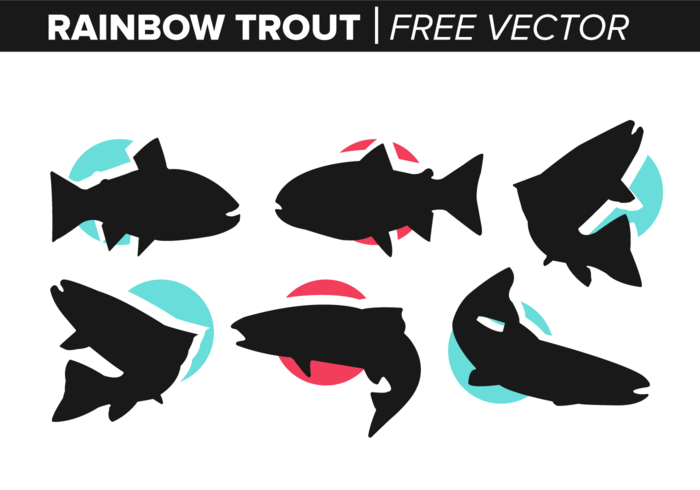Rainbow Trout Free Vector