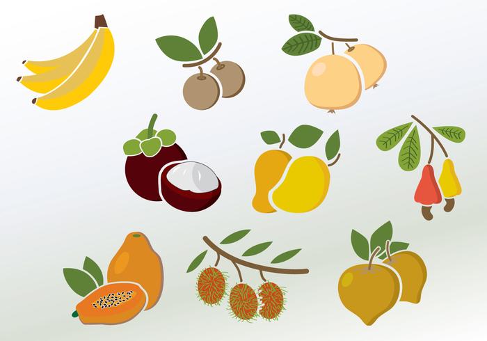 Set of Colorful Fruit Vectors