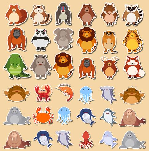 Set of cute animal sticker vector
