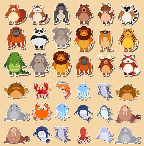 Set of cute animal sticker vector