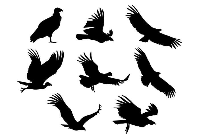 Silhouette Vector Of Condor Bird