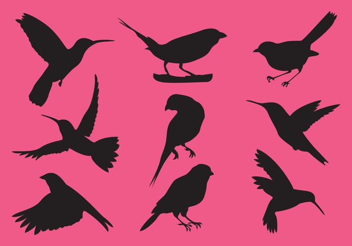 Small Bird Vectors