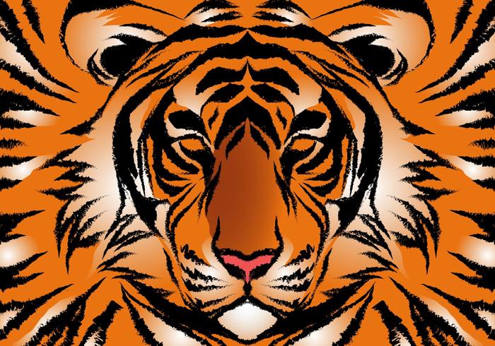 Striped Bengal Tiger Vector