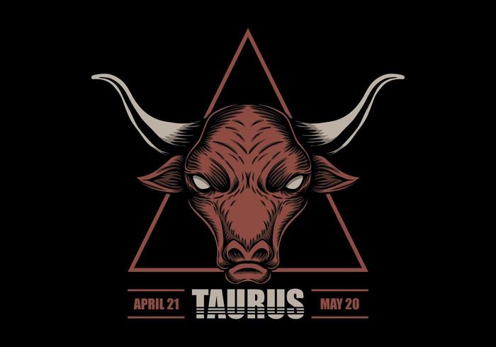Taurus zodiac sign vector