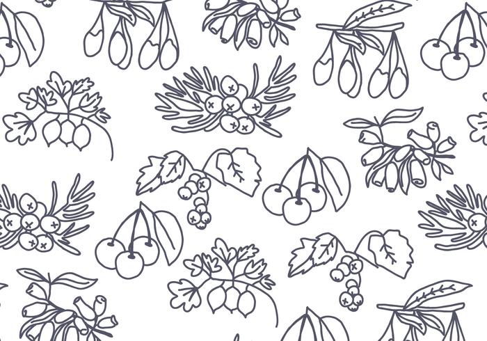 Tree Seeds and Berries Pattern Vector 