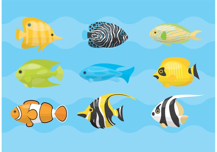 Tropical Fish Vectors