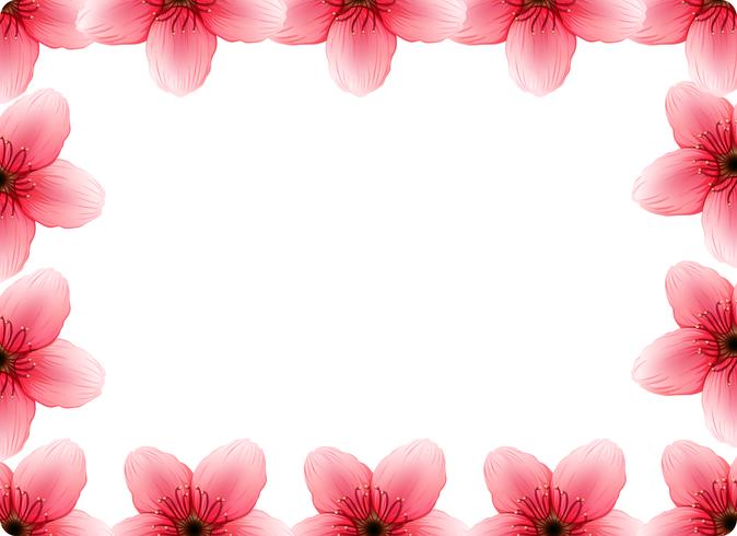 A cherry blossom frame vector