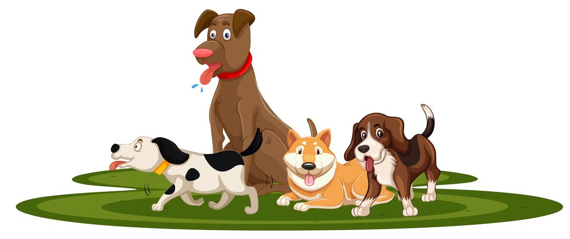 A set of dog vector