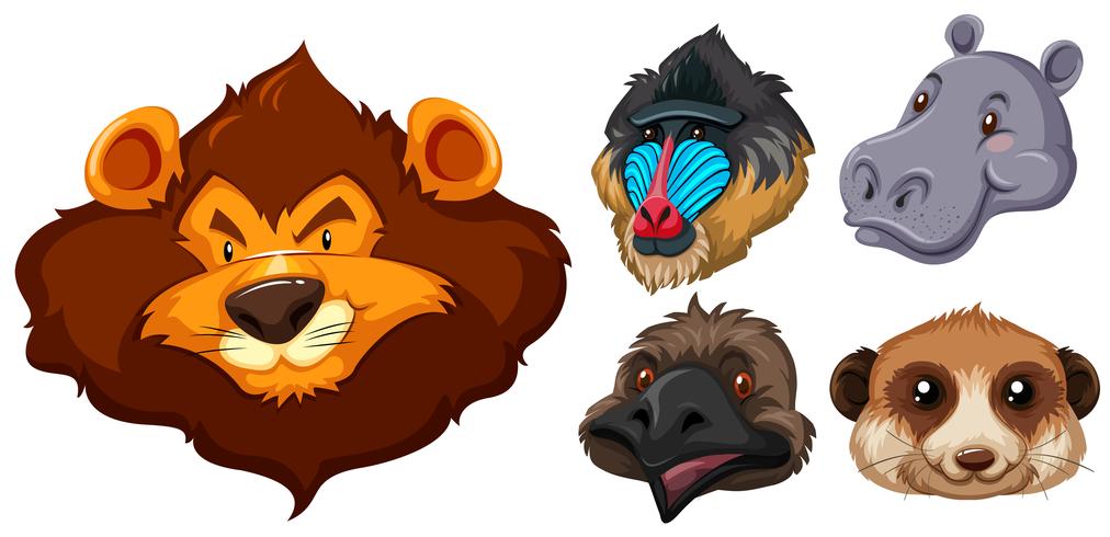 Animal heads on white background vector