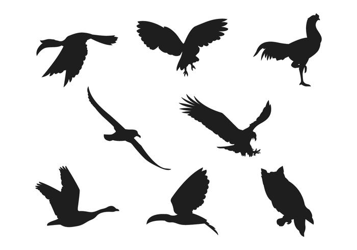 Bird Silhouette Collections vector