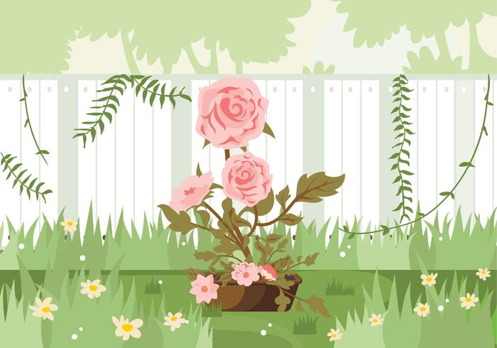 Camellia Flowers Pink Garden Illustration vector