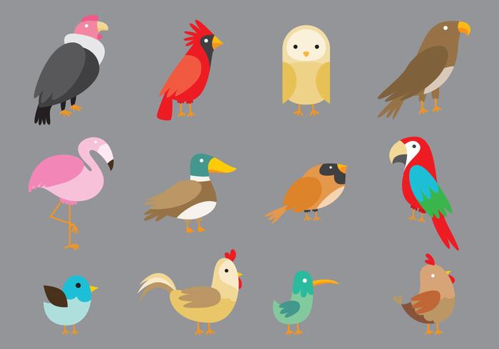 Cartoon Birds vector