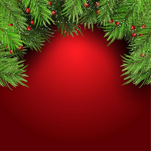 Christmas background with fir tree branches and berries 1410 vector