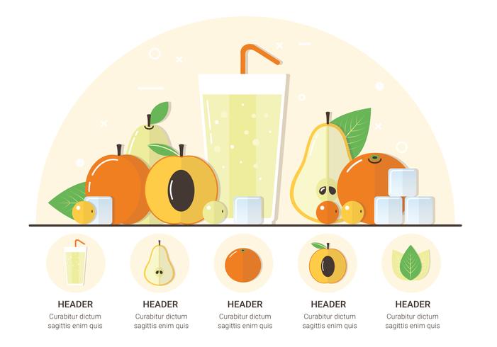 Vector Collection of Fruits Illustration