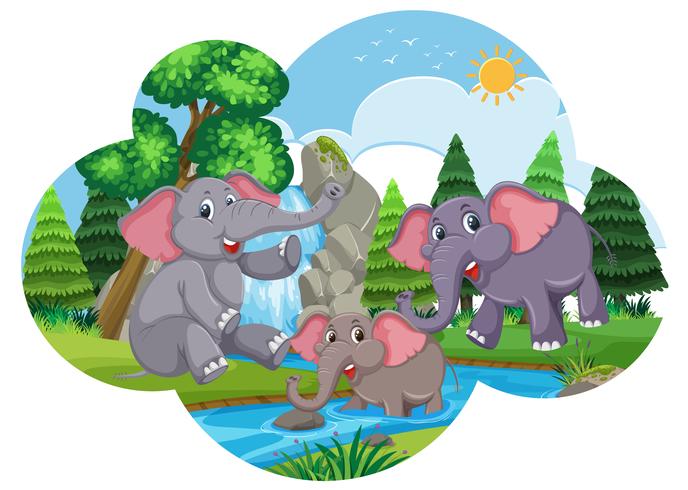 Cute elephants playing in water vector