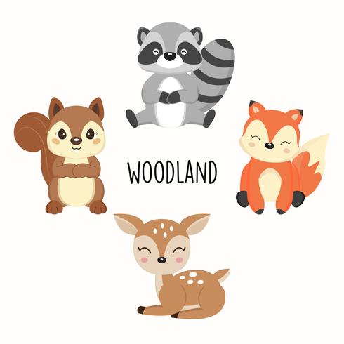 Cute woodland animals. Foxes,Raccoons,Squirrels cartoon. vector