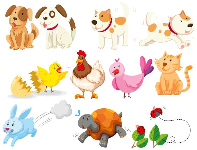 Different kind of domestic animals vector