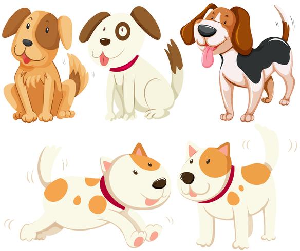Different kind of puppy dogs vector