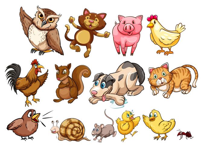 Different type of farm animal and pet vector