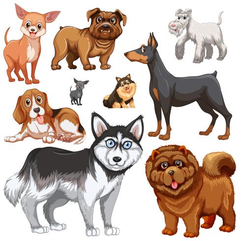 Different types of dogs vector