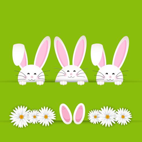 Easter bunny background  vector