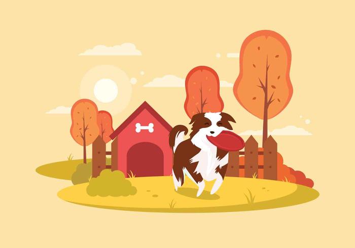 Free Border Collie Illustration vector