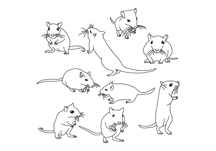 Gerbil Mouse vector