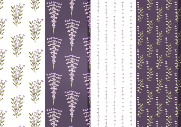 Vector Lavender Floral Patterns