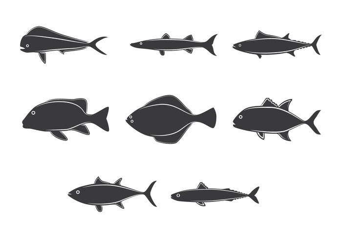 Lineart Ocean Fish Collection Drawn vector