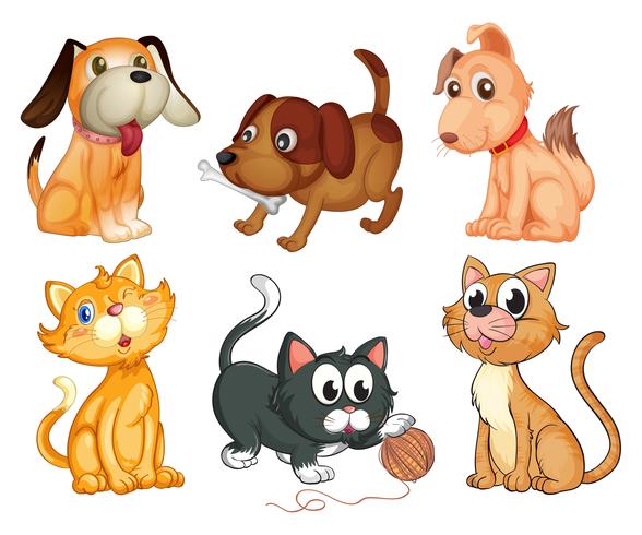 Lovable pets vector