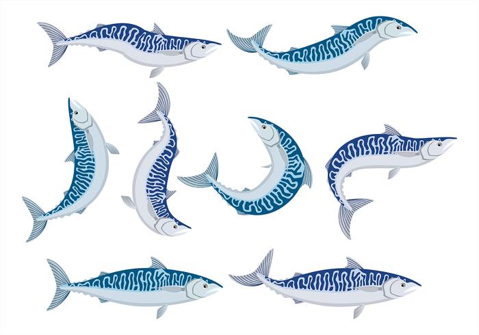 Mackerel icons vector