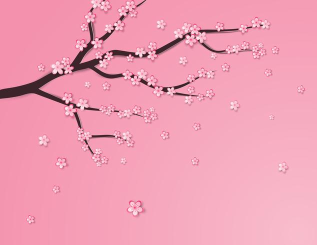 Plum flower or cherry blossom on pink background. vector