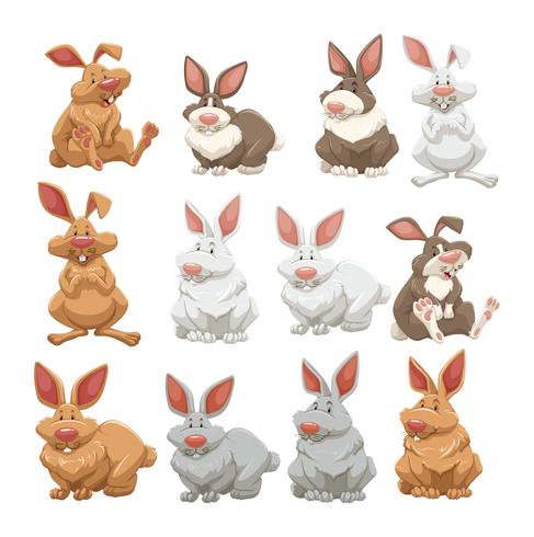 Rabbits with different fur colors vector