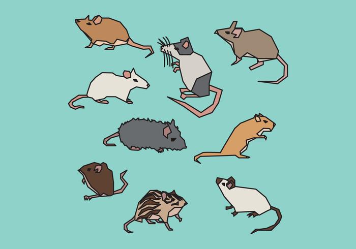 Rodent Species vector