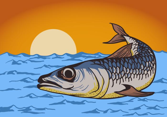 Sardine Fish Background vector