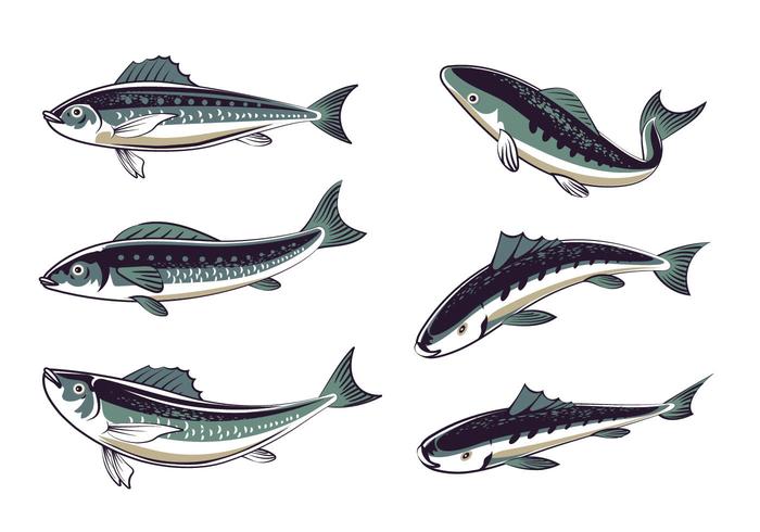 Set Fresh Sardines Hand Drawn Style vector